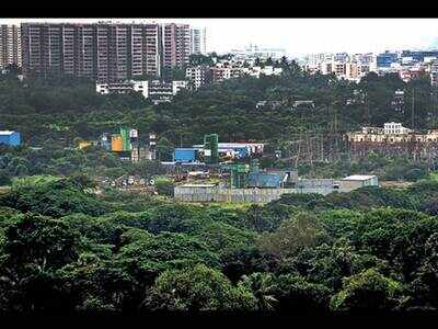 Aarey part of SGNP stand will help the green cause: NGOs