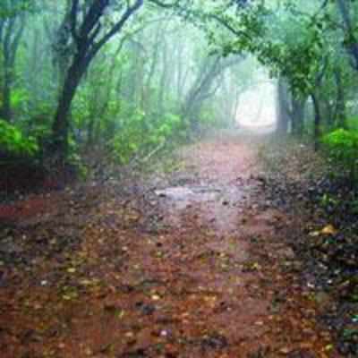 Matheran in monsoon!