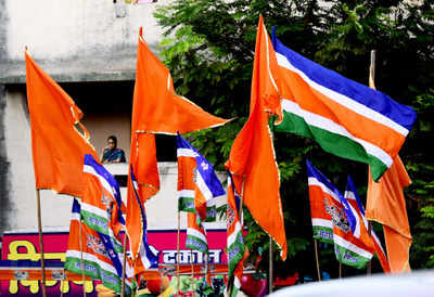 Mumbai Ward Council Elections: MNS’ Dilip Lande wins unopposed as Sena withdrew its candidate