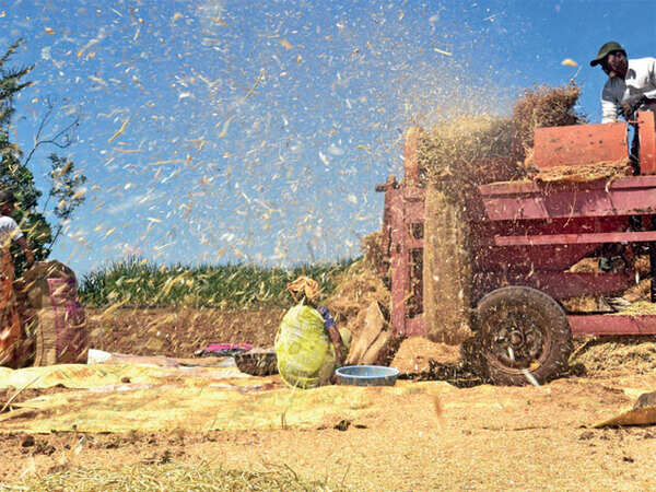 Country set for good Rabi season due to late rains: Agriculture Secretary