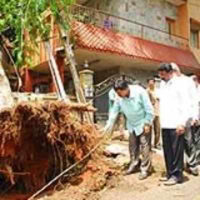 Mayor confines rain survey to 3 homes