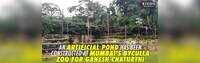 An artificial pond has been constructed at Mumbai's Byculla Zoo for Ganesh Chaturthi 