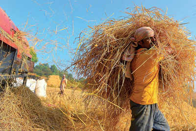 Bury the hay, don’t let Bengaluru go the Delhi way: Govt tells farmers