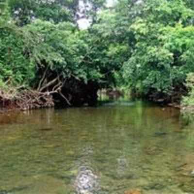 Wildlife board rejects 7-km duct proposal