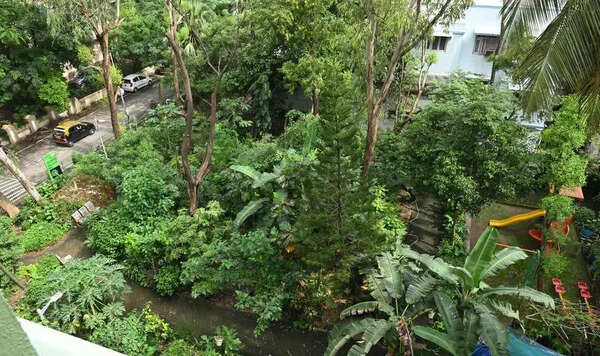 MCC to set up Miyawaki micro forests in 10 wards
