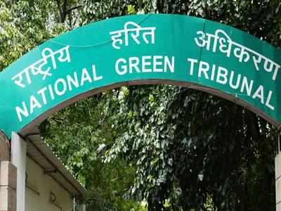 NGT decides compensation for workers injured in explosion at firecracker factory in Maharashtra's Palghar