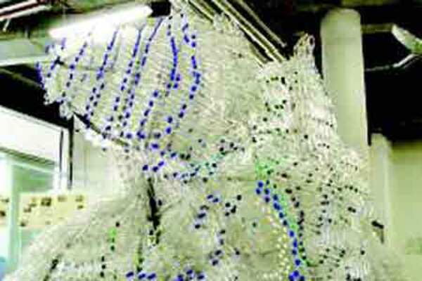 Visions of a sustainable life