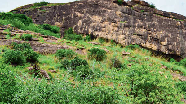 On the rocks: Vandalism, neglect ruin art depicting prehistoric life