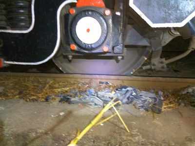 Derailed trolley caused delay in suburban services