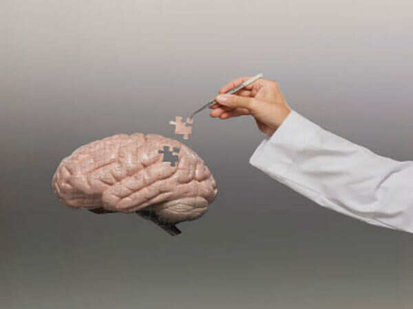 Facility to treat mental illness in pipeline