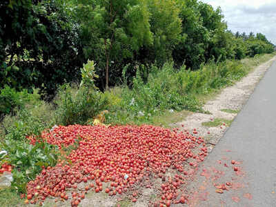 The highway of rotten tomatoes