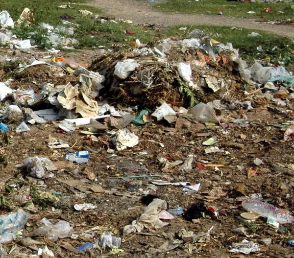Garbage piles up as civic staff continue strike in Punjab