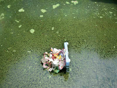 BM Impact: Ganesha idol bids adieu to immersion lake, finally