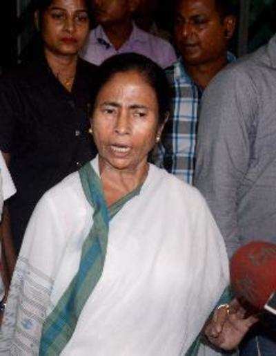 Providing subsidy is a social obligation of the govt: Mamata Banerjee