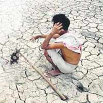 14 Assam districts drought-affected