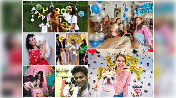 Celebs throw a 'pawty' for their pets