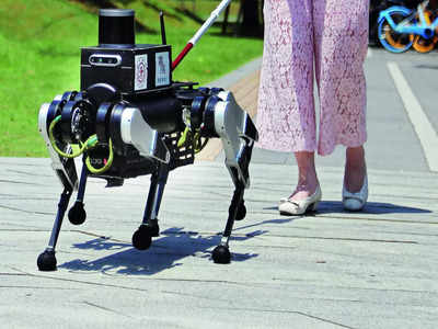 TechKnow: Chinese robot guide dog helps vision impaired be independent