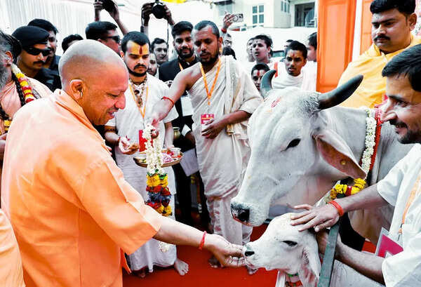 If Sanatan followers unite, no adversary can harm Hindus and India, says Yogi