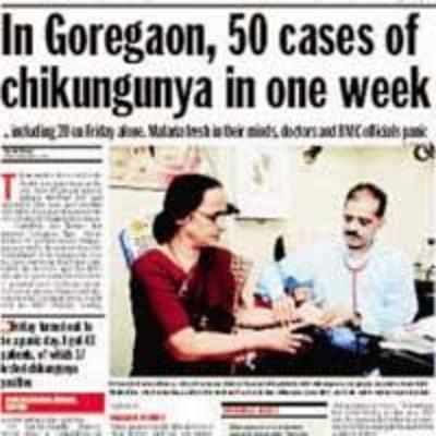 BMC gears up to nip chikungunya in the bud