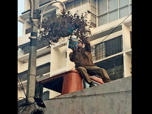 Dangling dangerously on poles
