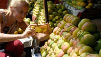 Mango Walk: Foreigners enjoy varieties of Mangoes in Bengaluru 