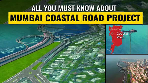 From Traffic Jams to Smooth Sailing: The Mumbai Coastal Road Project's Impact
