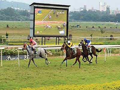 Punters get hurt as form horses play truant