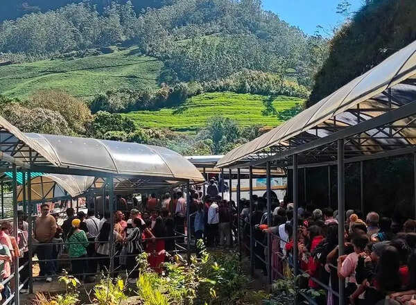 Eravikulam National Park reopens to massive crowds