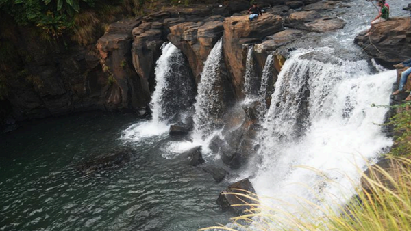 Wildlife activists raise concerns over Goa’s plans to commence eco-venture activities in core forest area