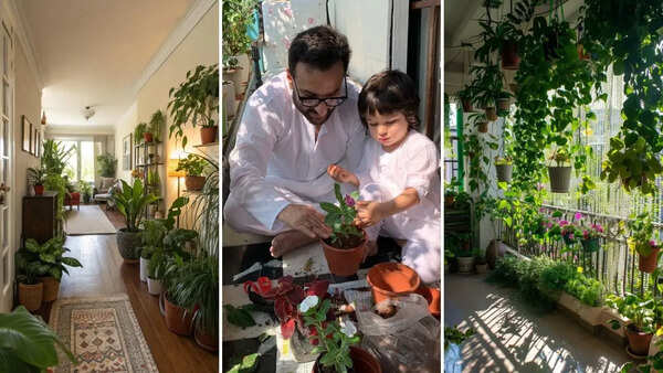 National Gardening Day: Houseplants are the new statement pieces