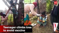 Madhya Pradesh: Teenage girl climbs tree to avoid getting vaccinated in Chhatarpur village 