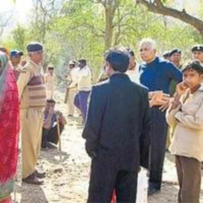 Gujarat tribals claim forest land as their '˜ancestral property'