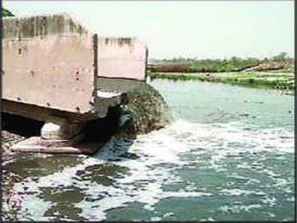Jajmau tanneries volunteer to shut down from January 11 to 21 for Kumbh