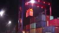 Odisha: Paradip port begins EXIM services 