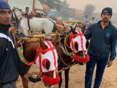Watch: Palghar Police foils dangerous horse-cart race on WEH at Vasai, 14 arrested