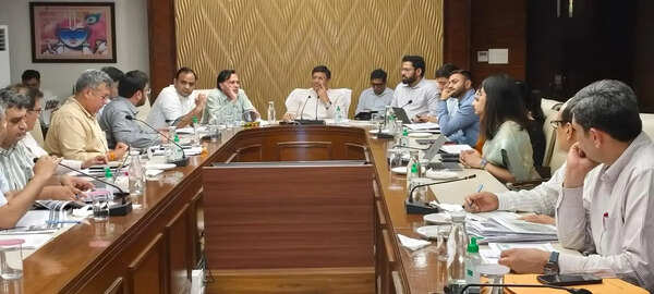 Want zero-flood monsoon, Haryana ULB minister tells corporations to speed up work