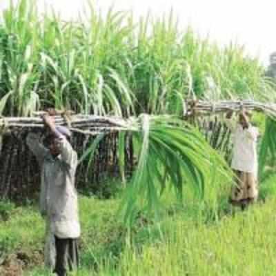 Bengal govt playing down farm suicides, alleges Congress