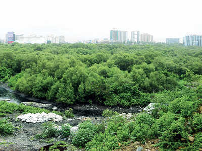 Mumbai-Vadodara Expressway to eat into 1001 mangroves