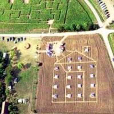 Open-air hotel with rooms cut into wheat field is a hit