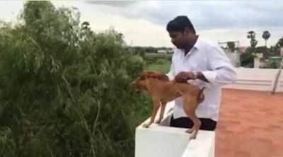 FIR against man who threw dog off terrace