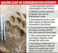Fresh pugmarks confirm tigress and cubs in Temri forests