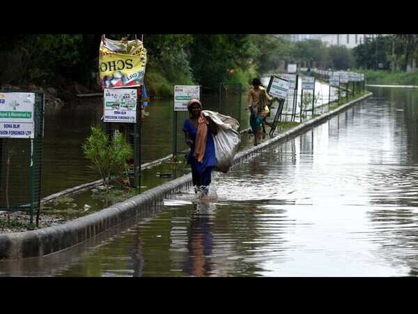 Rain catches Gurugram off guard on dengue plan