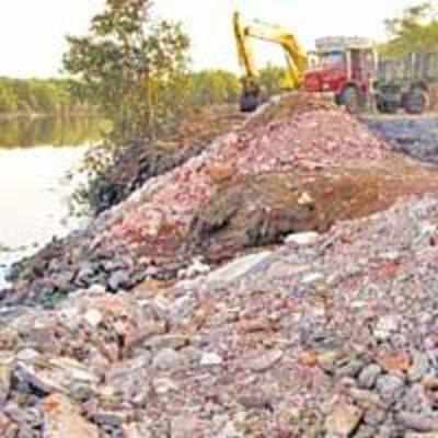 Spy cameras to catch illegal dumpers