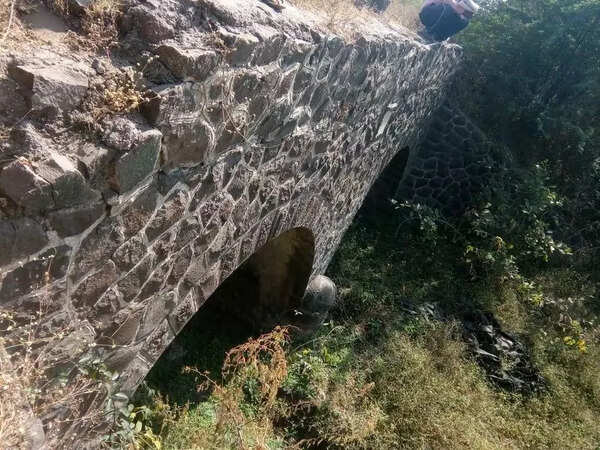 Farmers across 6K hectares heave a sigh of relief as govt announces renovation of section of Kukadi canal after three decades