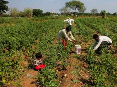 Maharashtra government to request RBI to give loans to farmers who have defaulted on crop loans