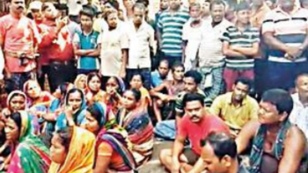 2 women in Odisha trampled to death by elephant herd