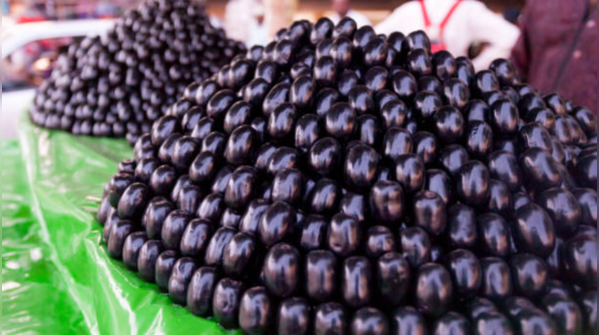 Jamun- GI (25)