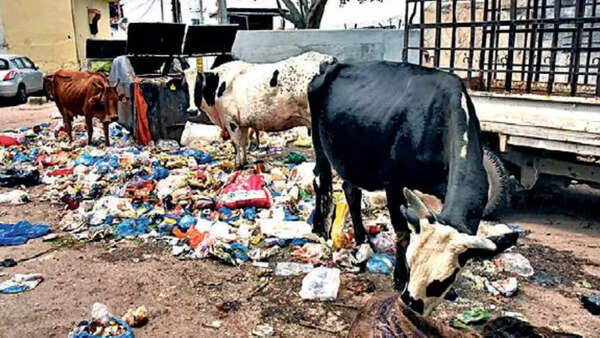 Hyderabad: SCB climbs ‘Swachh Survekshan’ rank, but still needs to clean up its act