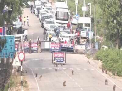 Security tightened near Vaishno Devi Shrine in Jammu after Nagrota encounter