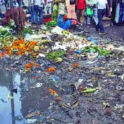 Irregular clearing of rotting garbage in KDMC limits leads to rise in malaria
